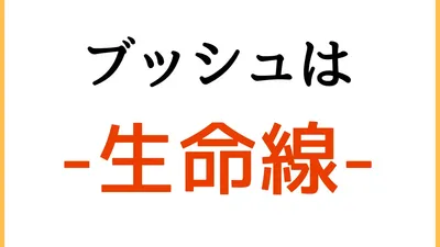 ローバーミニのブッシュは生命線