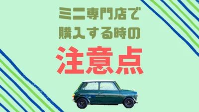 ローバーミニを専門店で購入する時の注意点