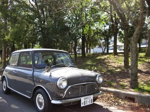 Mini1000